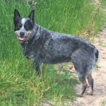 Roxy, our public relations dept.